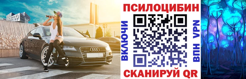 цена наркотик  Абакан  Галлюциногенные грибы Psilocybe 